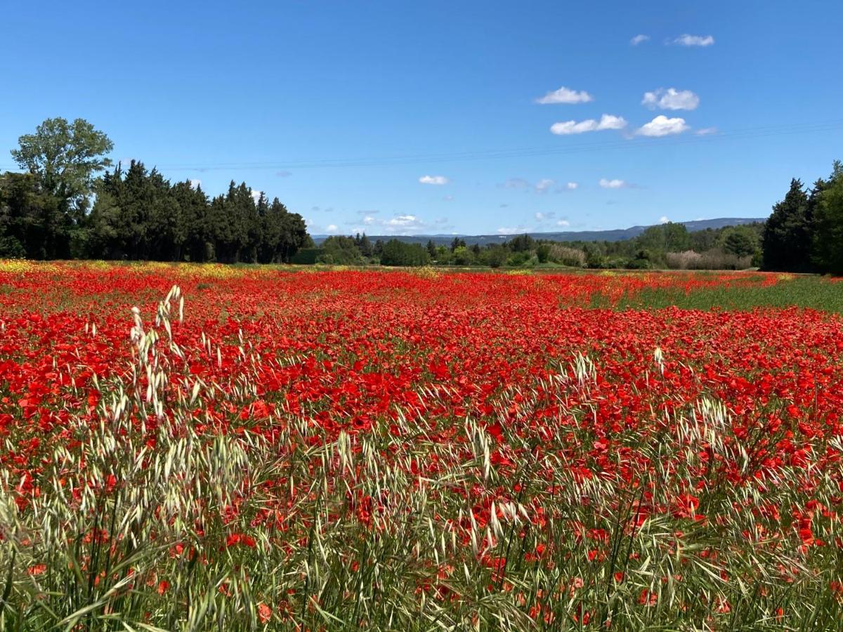 Ilot Coquelicot - Parking Gratuit Securise - Ac Clim - Ascenseur - Balcon Apartment L'Isle-sur-la-Sorgue Luaran gambar